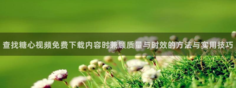 糖心vlog破解版:查找糖心视频免费下载内容时兼顾质量与时效的方法与实用技巧