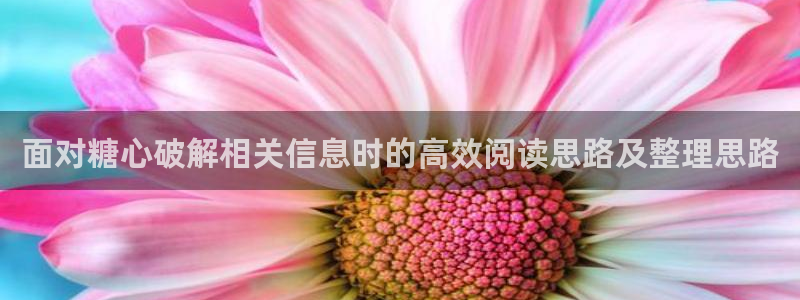 糖心免费看:面对糖心破解相关信息时的高效阅读思路及整理思路