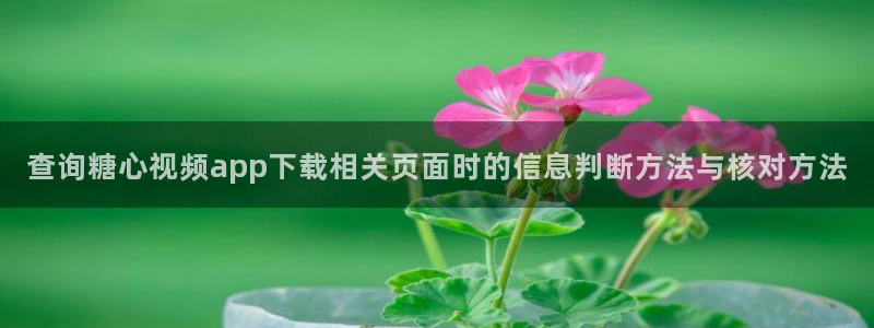 糖心vlog在线播放：查询糖心视频app下载相关页面时的信息判断方法与核对方法