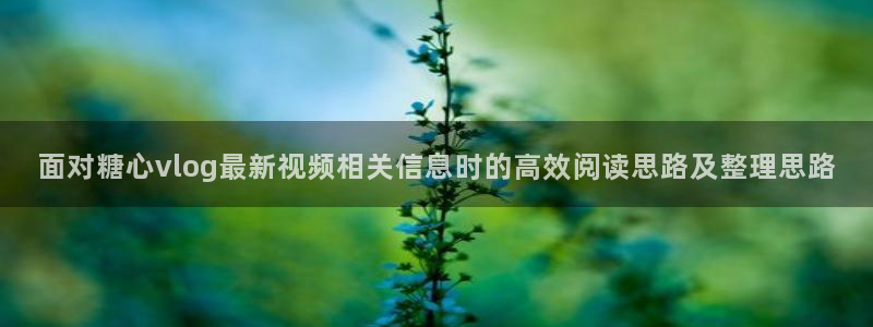 糖心免费看片：面对糖心vlog最新视频相关信息时的高效阅读思路及整理思路