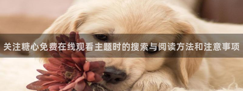 糖心视频免费看：关注糖心免费在线观看主题时的搜索与阅读方法和注意事项