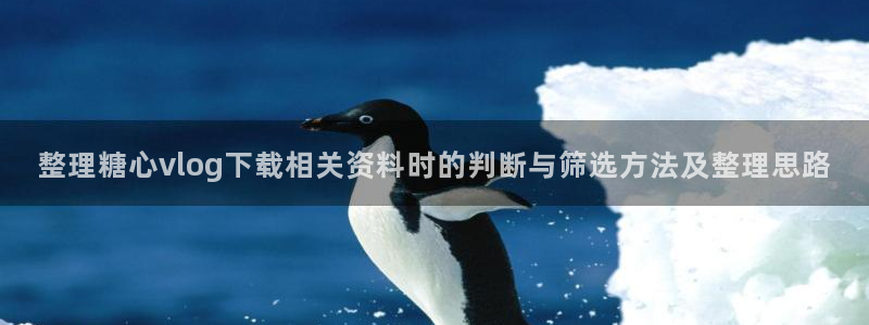 糖心vlog免费版在线观看：整理糖心vlog下载相关资料时的判断与筛选方法及整理思路