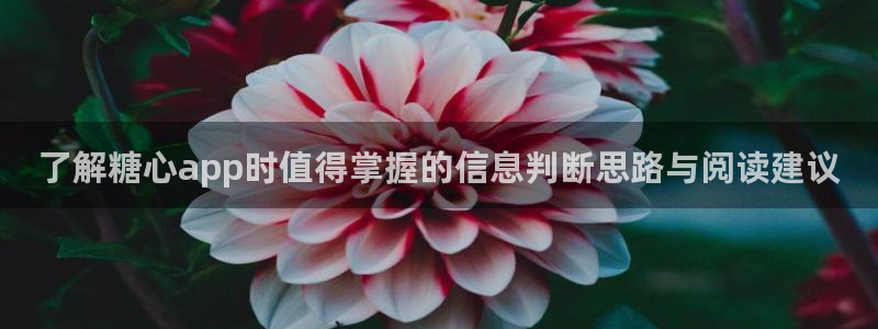 糖心vlog免费观看：了解糖心app时值得掌握的信息判断思路与阅读建议