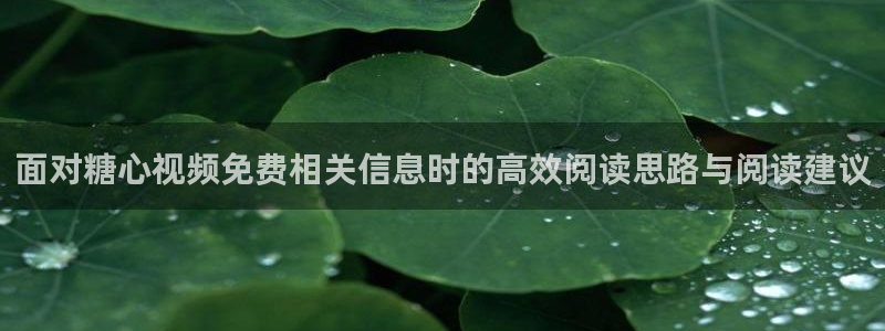 糖心视频：面对糖心视频免费相关信息时的高效阅读思路与阅读建议